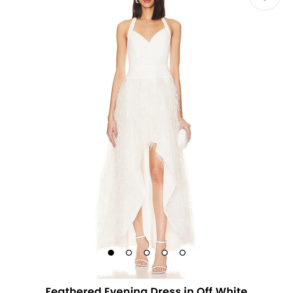 BCBG feathered dress